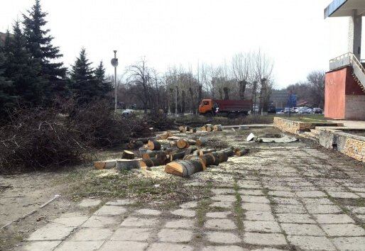 Удаление и вывоз деревьев около ресторана "Околица"